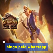 bingo pelo whatsapp